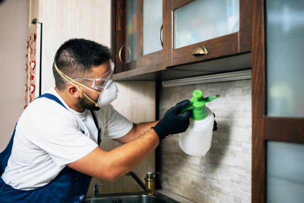 Best Best Pest Control Companies  in Hillsville, VA