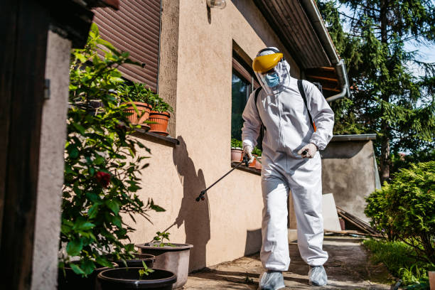 Best Cockroach Control Services  in Hillsville, VA