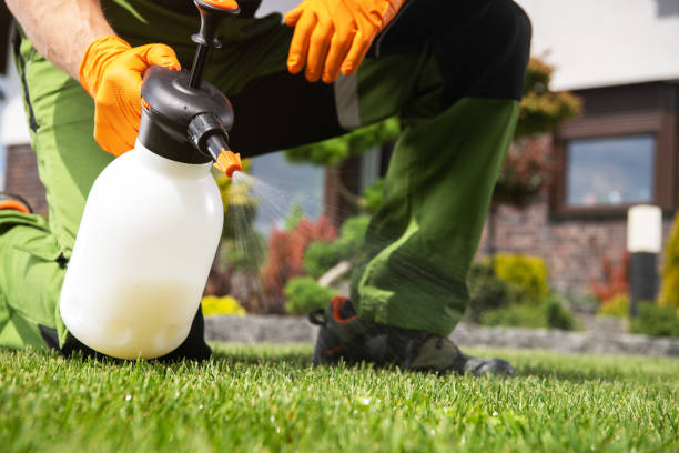 Best Bed Bug Extermination  in Hillsville, VA