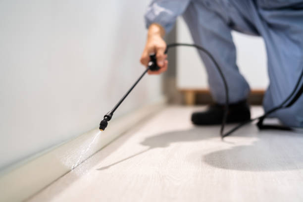 Best Pest Prevention Services  in Hillsville, VA