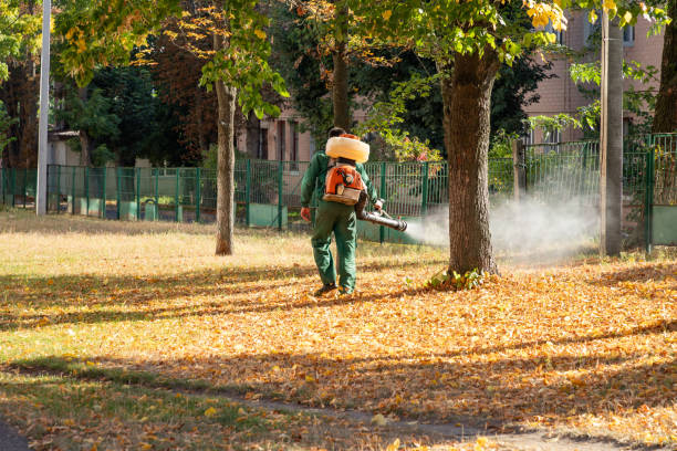 Best Pest Removal Services  in Hillsville, VA