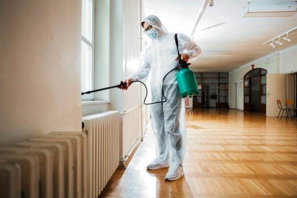 Best Termite Control Services  in Hillsville, VA