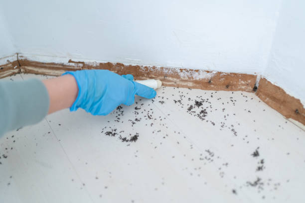 Hillsville, VA Pest Control Company